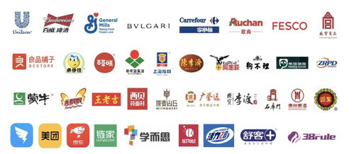 技术驱动智能包装服务，小象智合获创世伙伴CCV数千万元融资